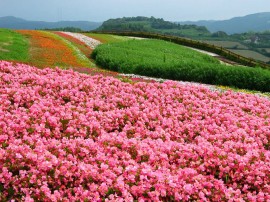 てすと送信