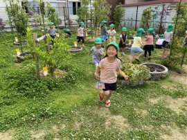 6月1日からの保育